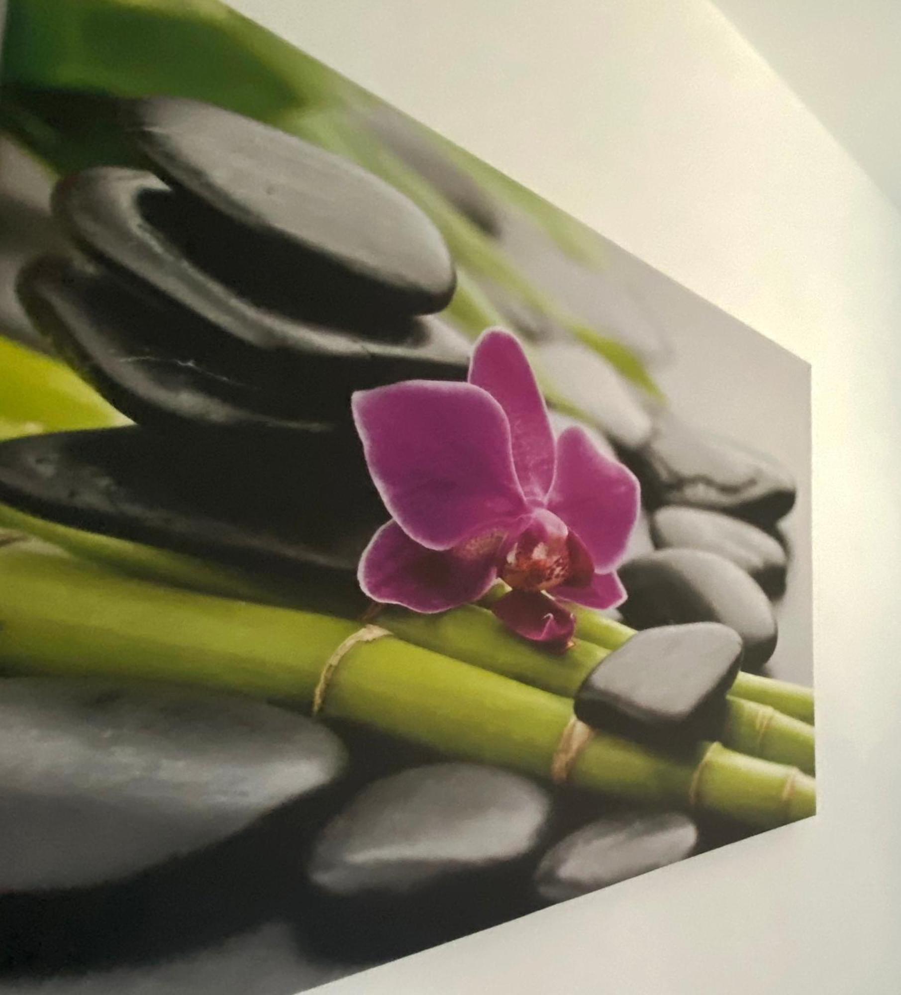 שיופוק Four Flowers Apartman מראה חיצוני תמונה